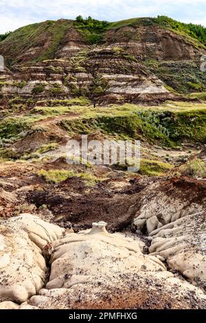 Eine malerische Aufnahme eines Tals in Drumheller mit einer Schicht grünen Grases auf der erodierten Oberfläche Stockfoto