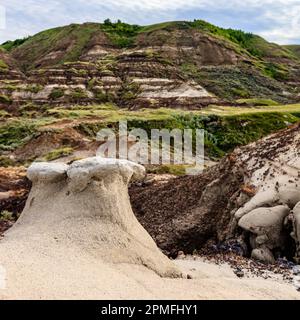 Eine malerische Aufnahme eines Tals in Drumheller mit einer Schicht grünen Grases auf der erodierten Oberfläche Stockfoto