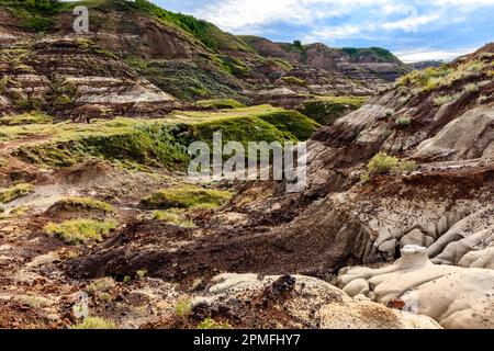 Eine malerische Aufnahme eines Tals in Drumheller mit einer Schicht grünen Grases auf der erodierten Oberfläche Stockfoto