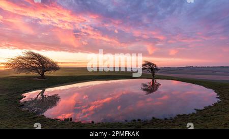 Der Ditchling Beacon Dew Pond am südlichen Ende des Ostens von Sussex im Südosten Englands spiegelt sich in der strahlenden Morgendämmerung wider Stockfoto