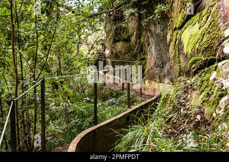 Madeira typischer Wanderweg und Wanderweg. Levada do Furado, eine der beliebtesten Touren in Levada auf Madeira Island. Von Ribeiro Frio nach Portela.Portugal Stockfoto