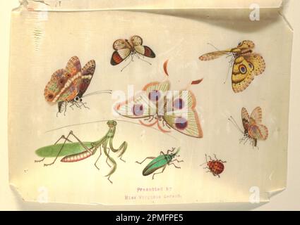 Zeichnung, Schmetterlinge und andere Insekten; Porzellan; Reispapier; 19,9 x 27,6 cm (7 13/16 x 10 7/8 Zoll); 1910-28-6 Stockfoto