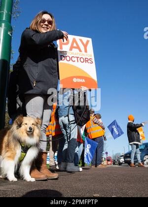 London, Vereinigtes Königreich -13/04/2023. Junior Doctor Rino Maeda, die Anästhesist, und ihr Hund Rokoko werden vor dem Whipps Cross University Hospit gesehen Stockfoto