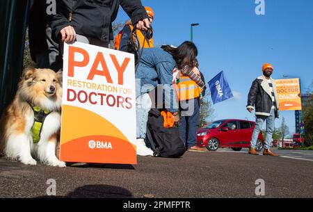 London, Vereinigtes Königreich -13/04/2023. Hund Rokoko wird mit markanten Junior Doctors vor dem Whipps Cross University Hospital in North East London gesehen Stockfoto