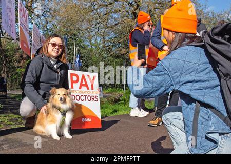 London, Vereinigtes Königreich -13/04/2023. Junior Doctor Rino Maeda, die Anästhesist, und ihr Hund Rokoko werden vor dem Whipps Cross University Hospit gesehen Stockfoto