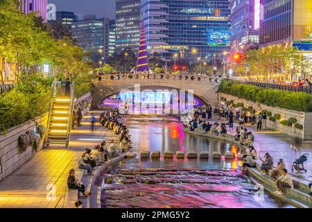 Cheonggyecheon, ein moderner öffentlicher Erholungsort in der Innenstadt von Seoul, Südkorea bei Nacht Stockfoto