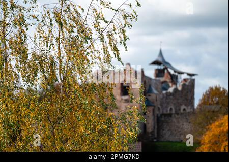 Selektives Fokusbild, Birke mit unscharfen Ruinen einer alten mittelalterlichen Burg im Hintergrund Stockfoto