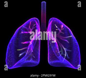 Lunge. Abstract 3D Lungen. Menschliche Gesundheit, Atemwege, Lungenentzündung, biologische Wissenschaft, Raucherasthma, Gesundheitskonzept. Anatomie des Inneren Stockfoto