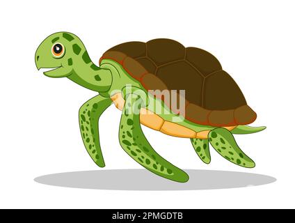 Cartoon Schildkröte auf weißem Hintergrund Stock Vektor