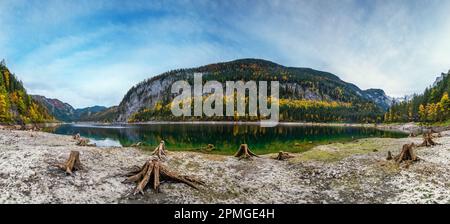 Baumstümpfen in der Nähe von gosauseen oder Vorderer Gosausee, Oberösterreich. Bunte Herbst alpine Blick auf See mit klarem Wasser und Ref. Stockfoto