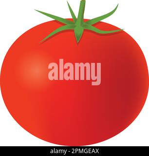 Clipart Vector Tomato Stock Vektor