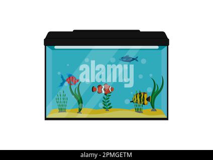 Fische Im Aquarium Clipart Vector Illustration. Fischtank Isoliert Auf Weißem Hintergrund Stock Vektor