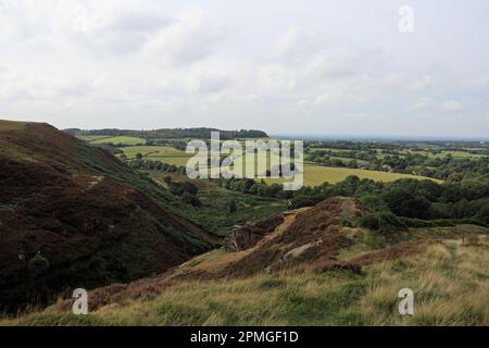 Old Stone Quarry White Coppice, die West Pennine Moors, Lancashire England Stockfoto