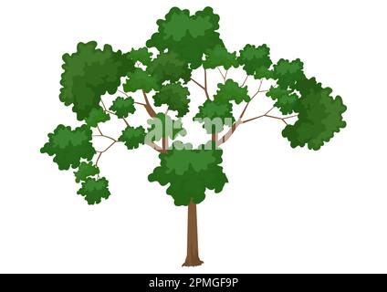 Clipart Tree isoliert auf weißem Hintergrund Vektor Stock Vektor