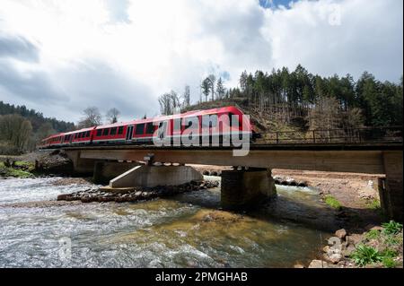 Kyllburg, Deutschland. 13. April 2023. Ein Zug der Klasse VT 620 fährt auf einer besonderen Fahrt über eine Brücke über den Kyll zwischen Kyllburg und St. Thomas, der im Juli 2021 von der Flut zerstört wurde. Die Premiere war der Beginn der Zugfahrt auf dem Abschnitt der Eifel-Linie zwischen Kyllburg und Gerolstein. Die Züge der Eifel-Linie sollen ab April 17 wieder in Betrieb genommen werden. Dies bedeutet, dass ein weiterer Abschnitt der stark beschädigten Strecke wieder an das Schienennetz angeschlossen wird. Kredit: Harald Tittel/dpa/Alamy Live News Stockfoto