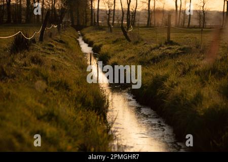Eine malerische ländliche Landschaft mit einem kleinen Fluss, der sich durch eine üppig grüne Wiese mit Bäumen schlängelt Stockfoto