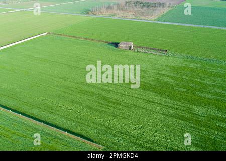 Luftaufnahme einer Kabine auf einem landwirtschaftlichen Feld Stockfoto