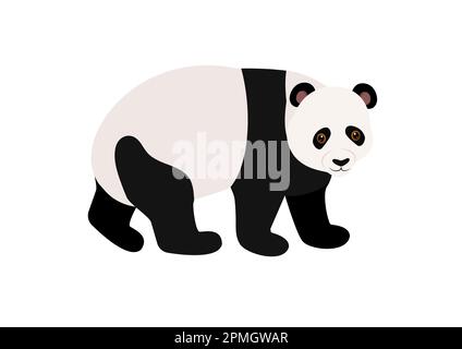 Vektordarstellung eines auf weißem Hintergrund isolierten Cartoon-Pandas Stock Vektor
