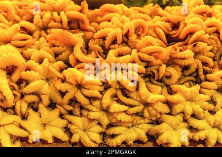 Vom Fischen geernteter Tintenfisch: Frische Meeresfrüchte. Stockfoto
