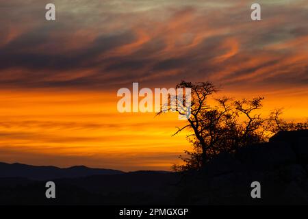 Sonnenaufgang über Prescott, Arizona. Stockfoto
