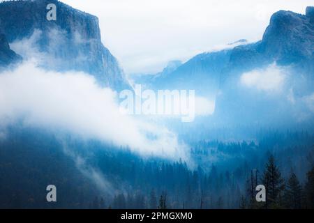 Die Wolken und die neblige Landschaft des Yosemite Valley vom Tunnel View. Yosemite-Nationalpark, Kalifornien. Stockfoto