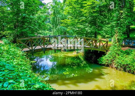 Die kleine Holzbrücke inmitten des schmalen Flusses im Sofiyivka Park, Uman, Ukraine Stockfoto