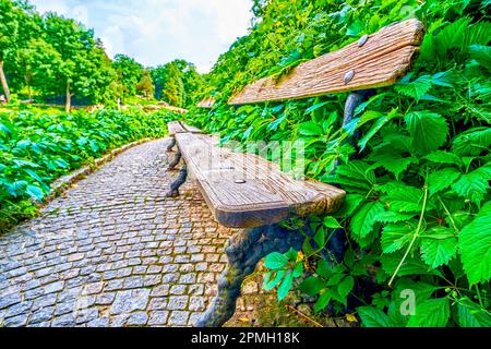 Die alte Bank und die überwucherte Gasse am Ufer des Sees im Sofiyivka Park, Uman, Ukraine Stockfoto