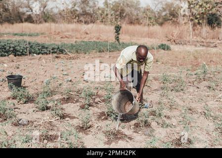 Ouagadougou, Burkina Faso, Afrika. Szenen des Arbeitslebens in den Vororten der Hauptstadt, wo die Wirtschaft im Wesentlichen auf der Landwirtschaft basiert Stockfoto