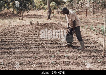 Ouagadougou, Burkina Faso, Afrika. Szenen des Arbeitslebens in den Vororten der Hauptstadt, wo die Wirtschaft im Wesentlichen auf der Landwirtschaft basiert Stockfoto