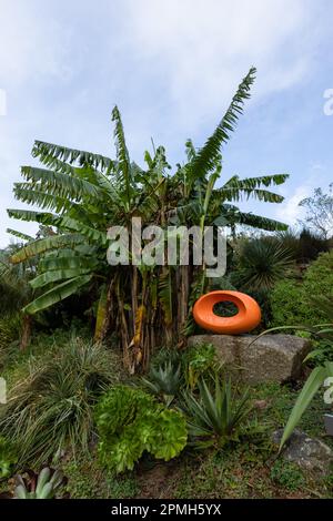 Tremenheere Sculpture Gardens am 30. Oktober 2022 in Penzance in England. Kredit: SMP News Stockfoto