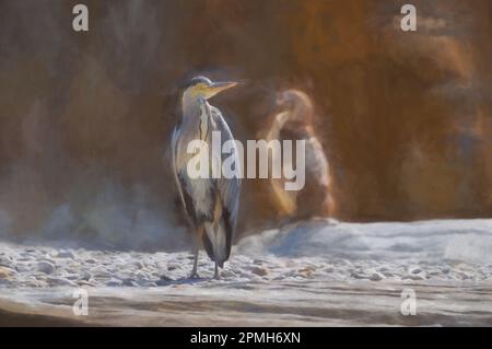 Die digitale Malerei eines einzelnen Grauen Reiher ist angekommen, um die Fütterungszeit der Pinguine im Zoo zu teilen. Stockfoto