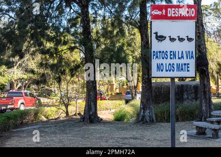 San Jose, Costa Rica - Ein Schild an der eingezäunten Gemeinde Los Arcos in den Vororten von San Jose warnt Fahrer, langsamer zu fahren und die Enten nicht auf der Straße zu töten. Stockfoto