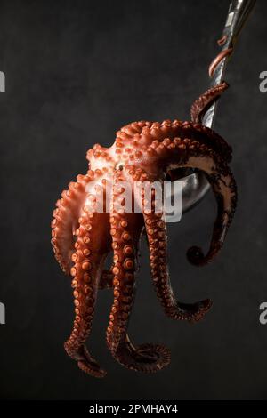 Low-Key-Fotografie des gekochten Oktopus auf der Platte, Platz für Text Stockfoto