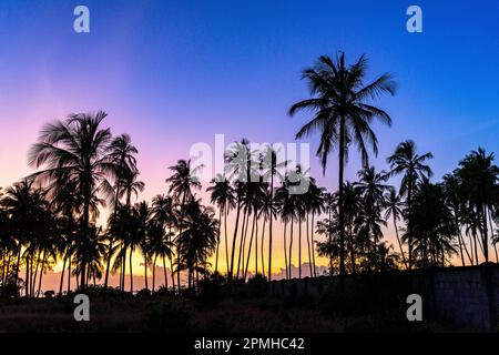 Silhouetten von Palmen unter dem romantischen Himmel bei Sonnenaufgang, Sansibar, Tansania, Ostafrika, Afrika Stockfoto