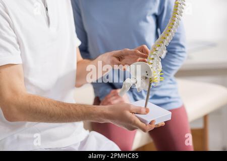 Teilansicht des osteopathisch haltenden Wirbelsäulenmodells in der Nähe des Patienten im Rehabilitationszentrum, Stockbild Stockfoto