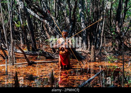 Ein Mann vom Yanomami-Stamm mit Pfeil und Bogen im Sumpf, Süd-Venezuela, Südamerika Stockfoto