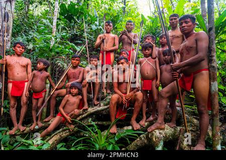 Der Mann des Yanomami-Stammes steht im Dschungel, Süd-Venezuela, Südamerika Stockfoto