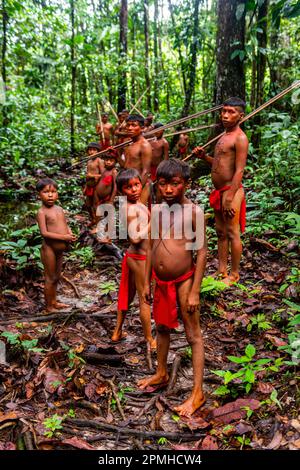 Der Yanomami-Stamm wandert durch den Dschungel, Süd-Venezuela, Südamerika Stockfoto