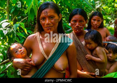 Frauen mit ihren Babys vom Yanomami-Stamm stehen im Dschungel, Süd-Venezuela, Südamerika Stockfoto