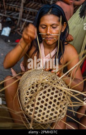 Eine Frau aus dem Yanomami-Stamm, die einen Korb webt, Süd-Venezuela, Südamerika Stockfoto