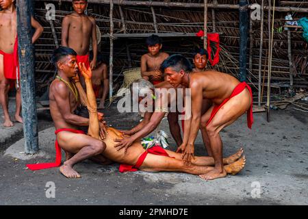 Schamanen aus dem Yanomami-Stamm, die traditionelle Heilmethoden praktizieren, Süd-Venezuela, Südamerika Stockfoto