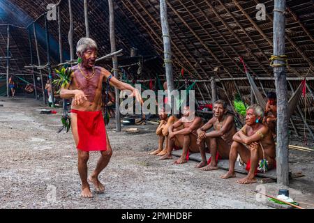 Schamanen aus dem Yanomami-Stamm, die traditionelle Heilmethoden praktizieren, Süd-Venezuela, Südamerika Stockfoto