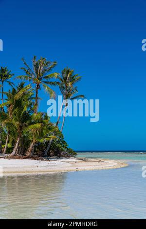Palmengesäumtes Motu in der Blauen Lagune, Rangiroa-Atoll, Tuamotus, Französisch-Polynesien, Südpazifik, Pazifik Stockfoto