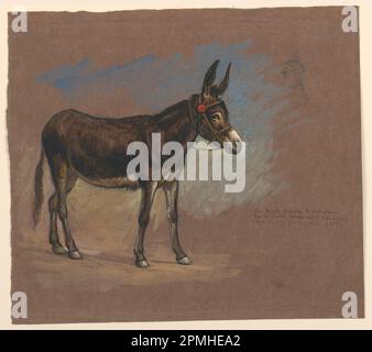 Zeichnung, Studie eines Mule; Samuel Colman (amerikanisch, 1832 - 1920); USA; Pinsel und Riesenkürbis Graphit auf dunkelviolettem Papier; 30,4 x 34,2 cm (11 15/16 x 13 7/16 Zoll) Stockfoto