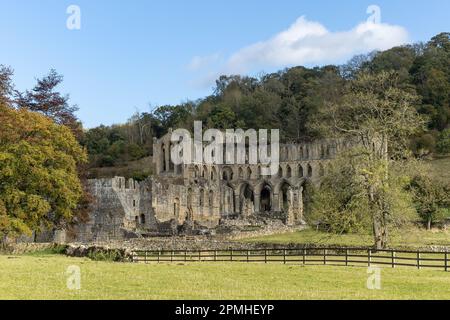 Blick auf die Rievaulx Abbey am 17. Oktober 2022 in Rievaulx, North York Moors National Park, in England. Kredit: SMP News Stockfoto