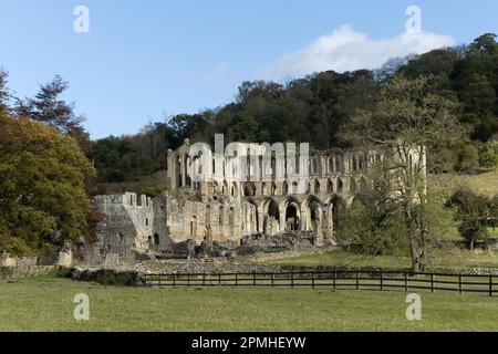 Blick auf die Rievaulx Abbey am 17. Oktober 2022 in Rievaulx, North York Moors National Park, in England. Kredit: SMP News Stockfoto