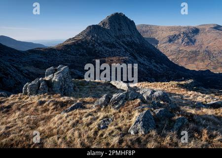 Letztes Licht auf Tryfan von Glyder Fach, Glyderau, Snowdonia-Nationalpark, Eryri, Nordwales, Großbritannien, Europa Stockfoto