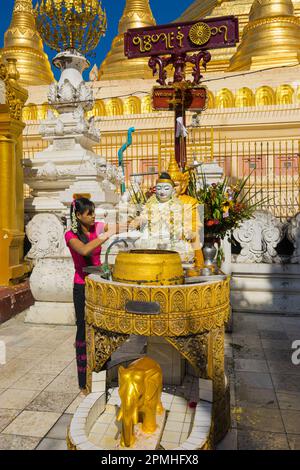 Frau, die Wasser über die Buddha-Statue gießt, für Glück, Shwedagon-Pagode, Rangun (Yangon), Myanmar (Birma), Asien Stockfoto