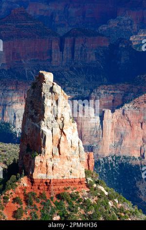 Mount Hayden von Point Imperial, Nordrand, Grand Canyon, Arizona, Vereinigte Staaten von Amerika, Nordamerika Stockfoto