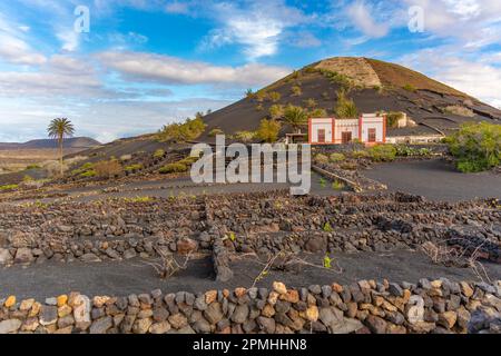 Blick auf vulkanische Landschaft und Weinberge in der Nähe von La Geria, La Geria, Lanzarote, Las Palmas, Kanarische Inseln, Spanien, Atlantik, Europa Stockfoto